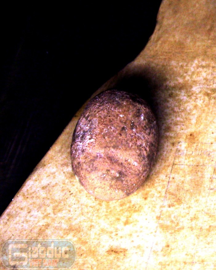 Hòn đá kỳ vắt Bác thường dùng khi đi rừng
